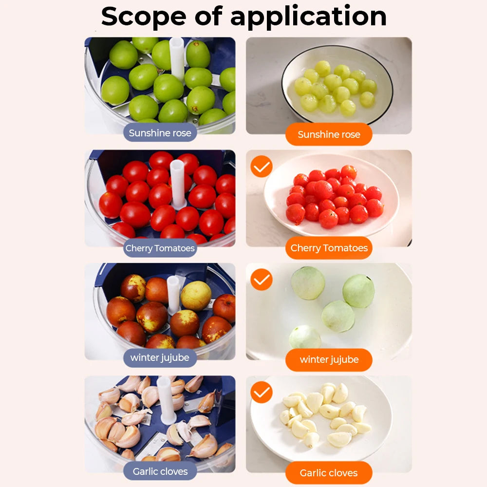 Electric Fruit Peeler - Automatic Garlic & Grape Peeling Machine